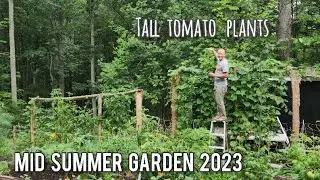 Strand Farm | Mid Summer Night's Dream Garden Tour, August 2023 - Off Grid Homestead