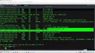 DNS Enumeration | Ethical hacking from Scratch
