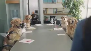 K9-Online