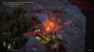 Rotten Stray Bug? | Elden Ring