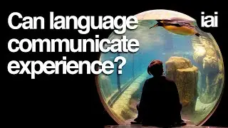 Is language capable of communicating experience? | John McWhorter, L.A. Paul, Kehinde Andrews