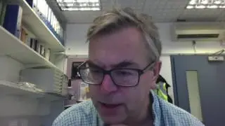 Multiple Sclerosis Fatigue - Role of Mitochondria