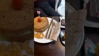 ETEN bij het KATTENCAF&Eacute; in ZWOLLE 🐈 🍰 -  Kattencaf&eacute; Skatjes 🐱 - Travelling Sisters