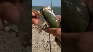 Texas coast specks🤙🏻