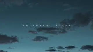 Nocturnal Bloom &mdash; Dark Worship &bull; Official Audio (Experimental Industrial / Ambient Blackgaze)