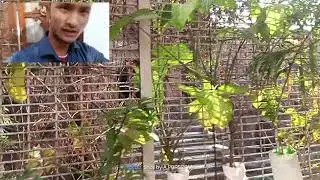 Khirki extn wala quila 👍#vlog #love