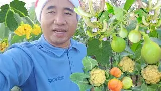 ความสุขคนเราไม่เหมือนกัน.