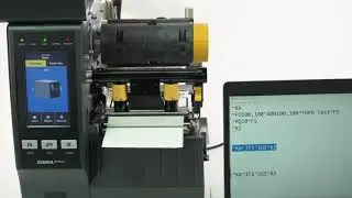 Printhead Element Out Detection | Zebra