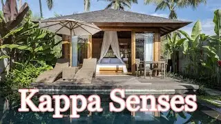 Kappa Senses Ubud | Room Tour |French Luxury in the Heart of Bali 🌿| 巴厘岛 | 法式轻奢度假村