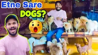 Shivaaz Farm | Vlog #2 | The Amar Babu Fataski !