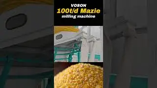 100TPD Maize Milling Plant | High-Efficiency Maize Flour Production Line by Voson Machinery