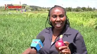 URIMI WA GITUNGURU ENDARASHA