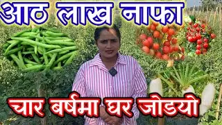 बार्षिकि राम्रो आम्दानी  सब्जी खेती बाट हुन्छ!