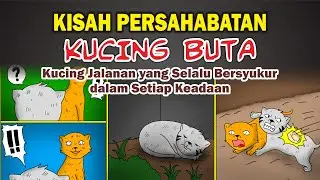Cerita Kucing Sedih, PERSAHABATAN KUCING BUT4 yang Selalu Tersenyum walau Mer4n4