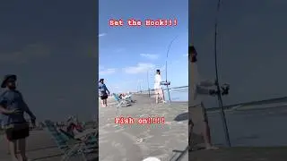 Catching a Shark: The Most Unbelievable Footage