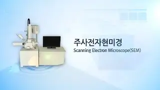 01. SEM (Scanning Electron Microscope)