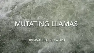 “Mutating Llamas” spoken word set to music