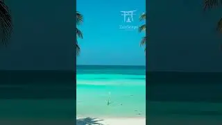 🌊 Maldives in Turquoise: Beaches That Take Your Breath Away! 🏝️✨ #travel #realestate #beach