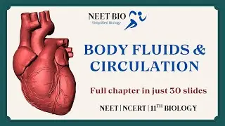 BODY FLUIDS AND CIRCULATION