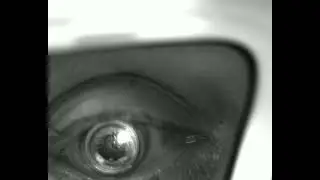 Cyclops Contact Lens worn by a human