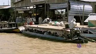 Rice Fields in the Mekong Delta | Explora Films EN