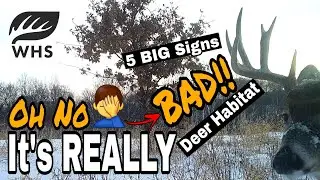 Top 5 Signs Your Deer Habitat Stinks