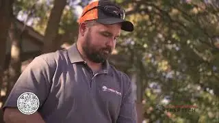 Hildebrandt Tree Tech - Be Your Tree's Hero!