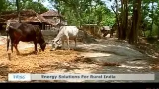 ONergy Solar