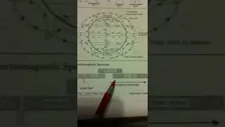 Earth Science Regents Review- Electromagnetic Spectrum #3