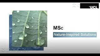 UCL Nature-Inspired Solutions MSc