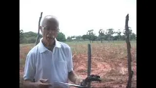 depoimento do padre geraldo sobre a seca no piauí,e mostra como a planta mandacaru se enganou