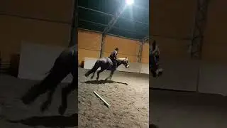 Mini parkurek na Nelsonku😍/Te nowe czapraki w stajni🔛🔝 #horse #equestrian #dc  #riding #horseriding