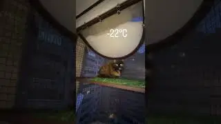Муся дышит морозным воздухом у себя на балкончике 😻❄️ в нашем ТГ есть обзоры наших балкончиков