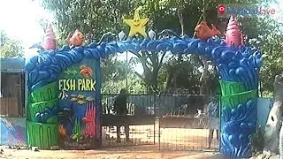 IC colony gets 'Fishy' | Mumbai Live