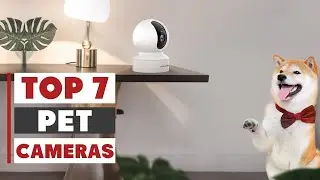 7 Must-Have Best Pet Cameras for Dog & Cat Owners!