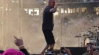 Pantera 