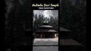 Hidimba Devi Temple Mahabharat Hidden Chapter in Manali #hidimba #manali #himachal #temple #shorts