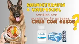 Pet que usa OMEPRAZOL e/ou faz QUIMIOTERAPIA pode consumir Alimentação Natural Crua com Ossos?