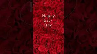 Happy Rose Day special Status #rosedaywishes#roseday🌹 Rose day quotes/rose day special wishes #7feb🌹