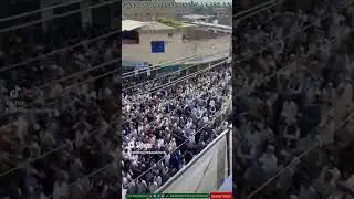 Peace March , Murad Saeed PTI Leader , Swat KPK