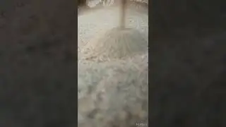 #1mlion
