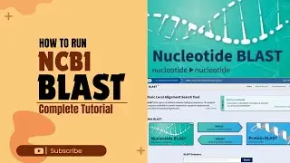 How to run NCBI Nucleotide BLAST / Step by step guide / NCBI BLAST