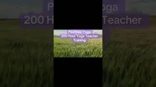 #accessableyogateachertraining #pasitheayoga #200hourytt #200houryogateachertraining #yogateacher