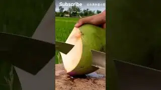 amazing coconut cutting 👍 #COCONUTCUTTING2 #ytshorts