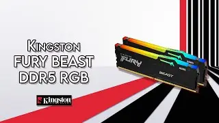 Kingston FURY BEAST DDR5 RGB (6000 МТ/с) &mdash; распаковка и обзор