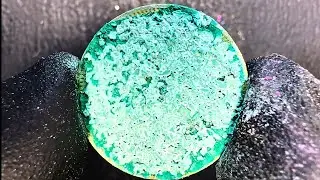 Satisfying Mould Removal on Crusty Coin #asmr #satisfying 