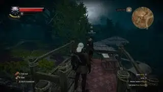 Races.The great erasmus vegelbud memorial derby part 1-The Witcher 3:Wild Hunt