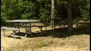 Superior Watershed Partnership Native Plant Reintroduction Project