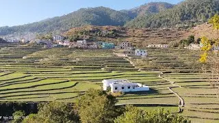 @ChAnSiNgH860 , Dyaari village