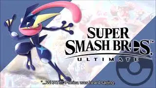 Hitbox Greninja holding Smash Coins and Bills fighting on Big Blue Wii